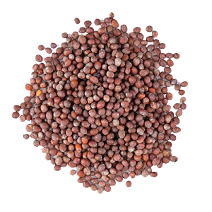 Buy Brown Mustard Seeds 