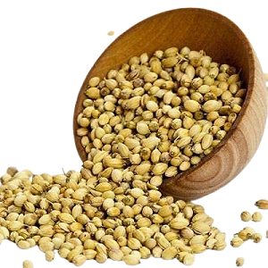 Buy Coriander Seeds