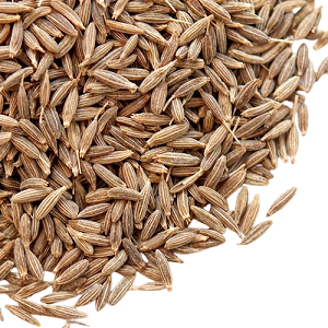 Buy Cumin Seeds