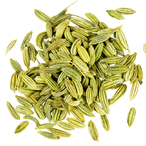 Buy Fennel Seeds