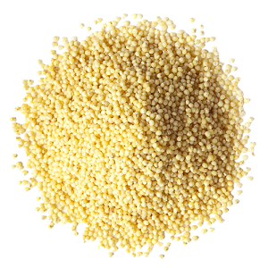 Buy Millet Seeds