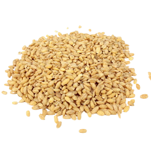 Buy Pearl Barley